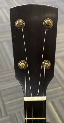 Rickard Banjo Dobson 2